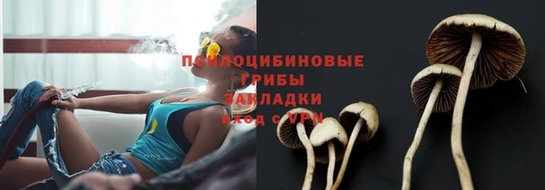 ALPHA PVP Алзамай