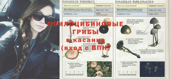 ALPHA PVP Алзамай